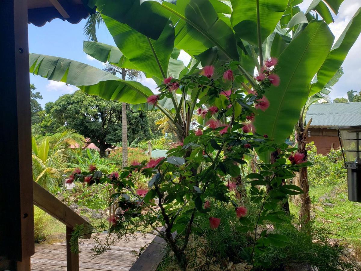 Les Bananes Vertes Ecolodges Saint-Claude Dış mekan fotoğraf