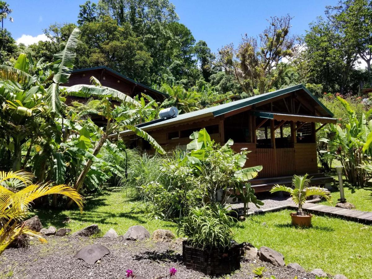 Les Bananes Vertes Ecolodges Saint-Claude Dış mekan fotoğraf