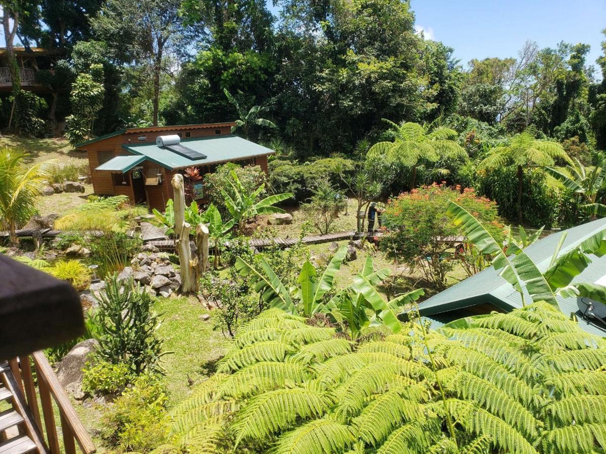 Les Bananes Vertes Ecolodges Saint-Claude Dış mekan fotoğraf
