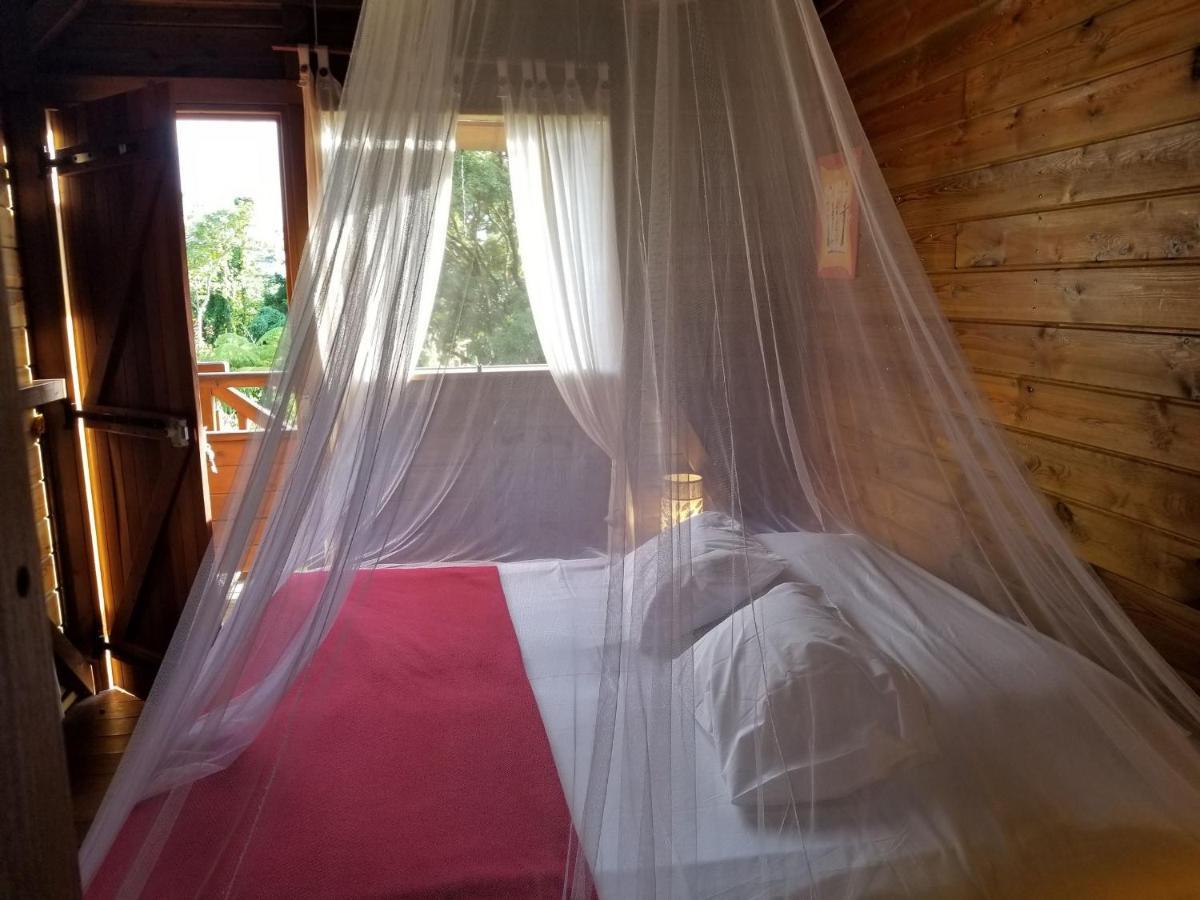 Les Bananes Vertes Ecolodges Saint-Claude Dış mekan fotoğraf