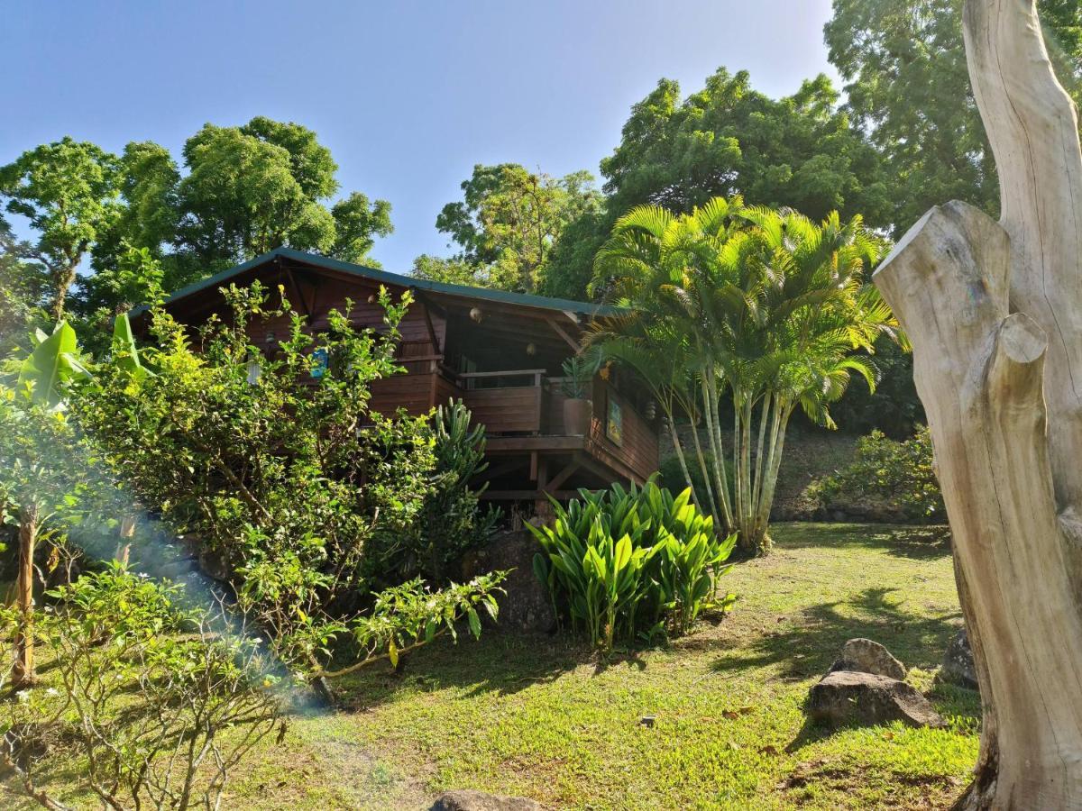 Les Bananes Vertes Ecolodges Saint-Claude Dış mekan fotoğraf