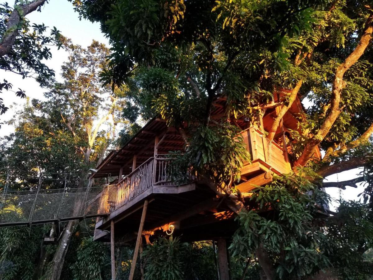 Les Bananes Vertes Ecolodges Saint-Claude Dış mekan fotoğraf