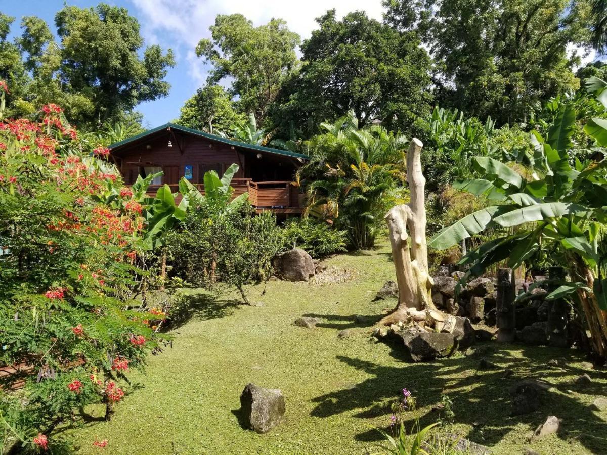 Les Bananes Vertes Ecolodges Saint-Claude Dış mekan fotoğraf
