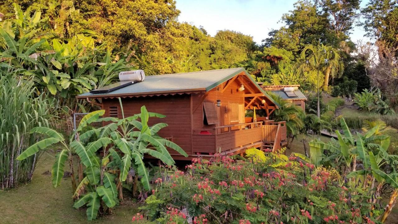 Les Bananes Vertes Ecolodges Saint-Claude Dış mekan fotoğraf