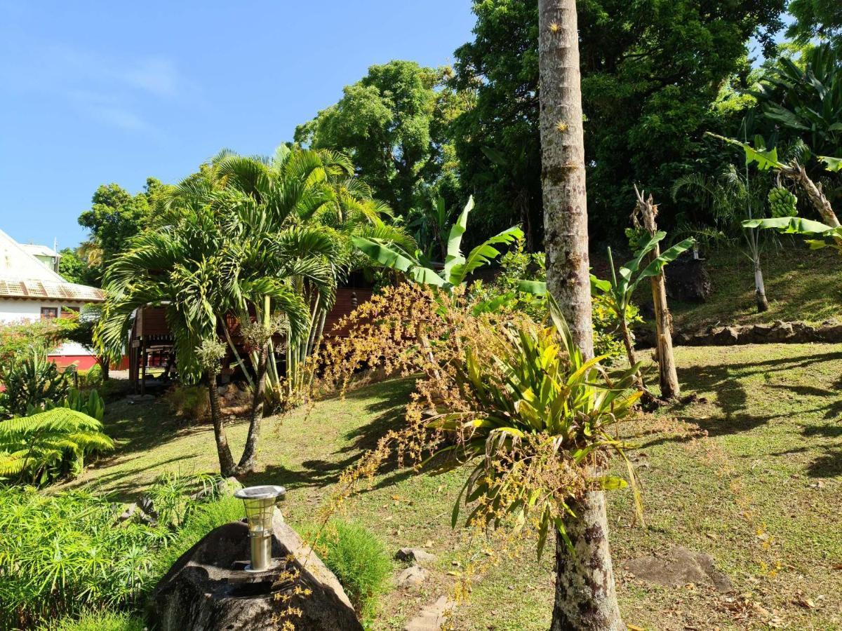 Les Bananes Vertes Ecolodges Saint-Claude Dış mekan fotoğraf
