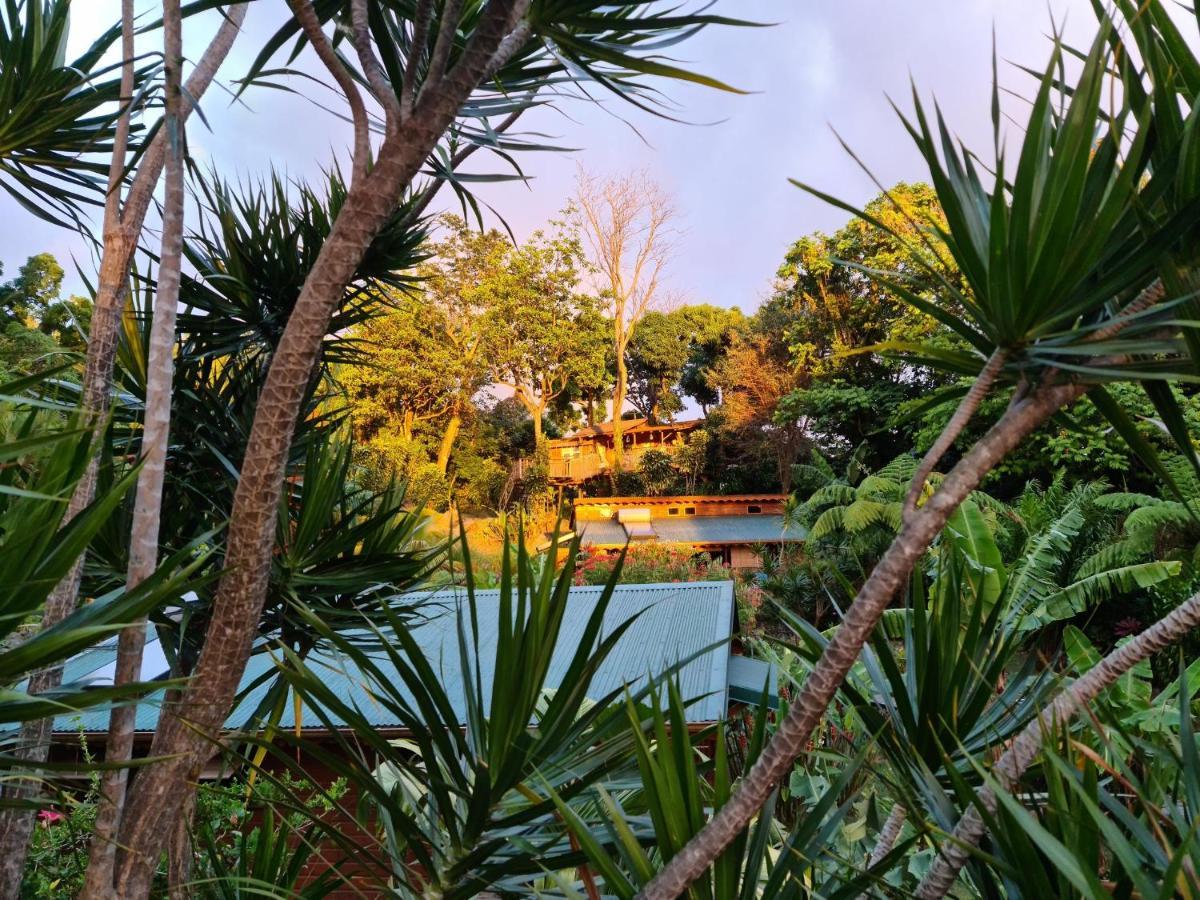 Les Bananes Vertes Ecolodges Saint-Claude Dış mekan fotoğraf