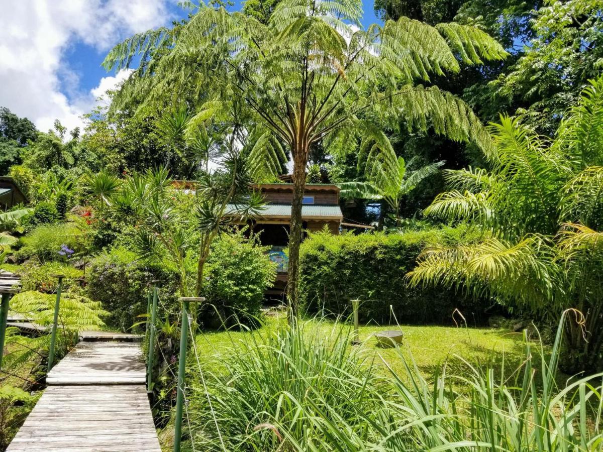 Les Bananes Vertes Ecolodges Saint-Claude Dış mekan fotoğraf