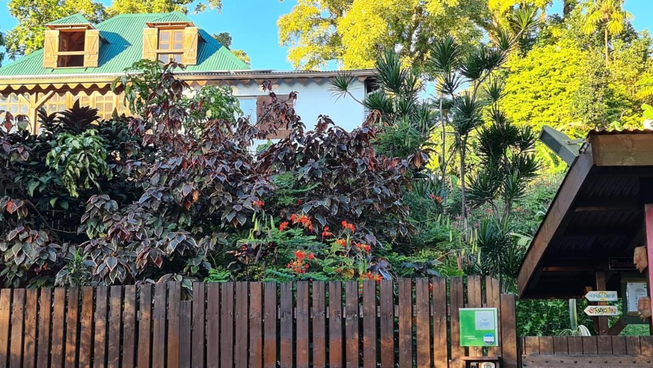 Les Bananes Vertes Ecolodges Saint-Claude Dış mekan fotoğraf