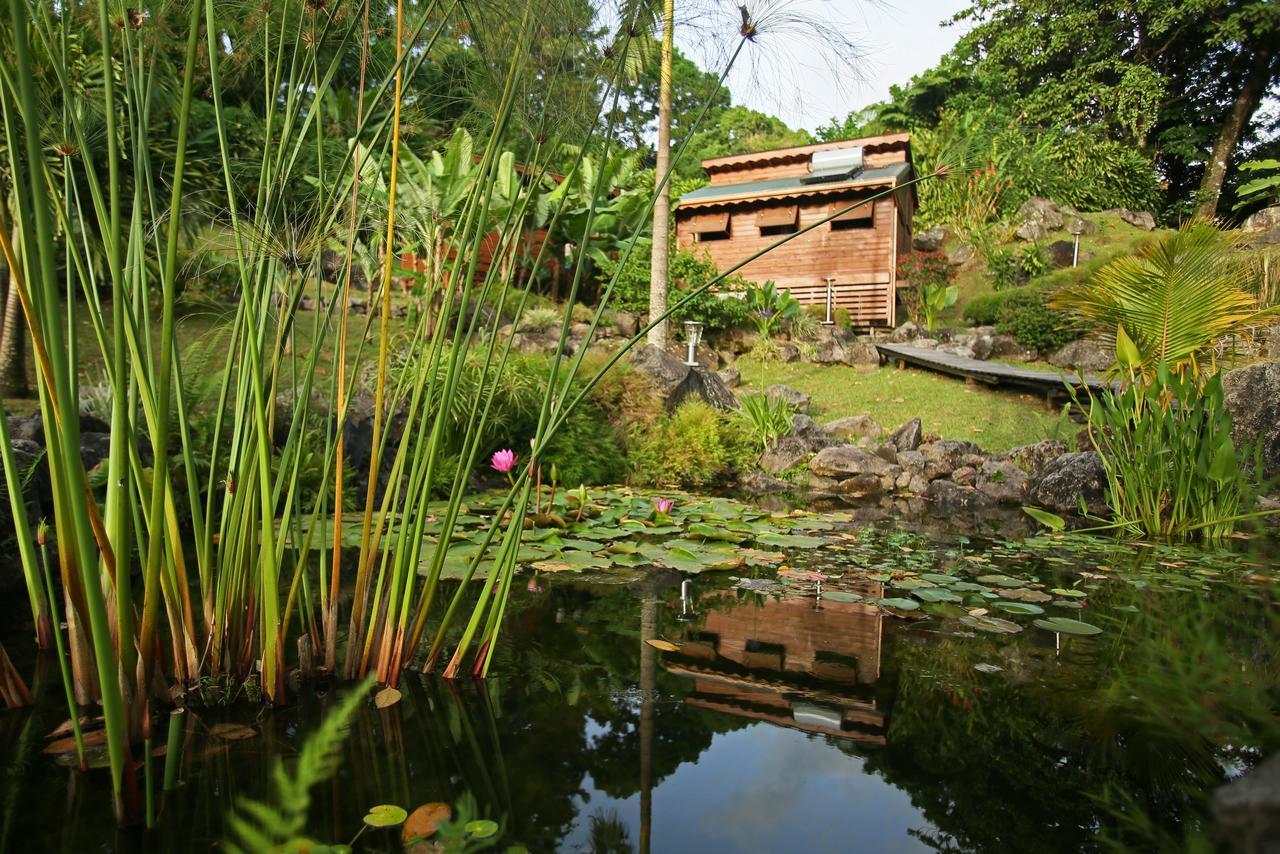 Les Bananes Vertes Ecolodges Saint-Claude Dış mekan fotoğraf